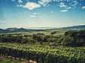 Budapeszt i malowniczy Balaton 6