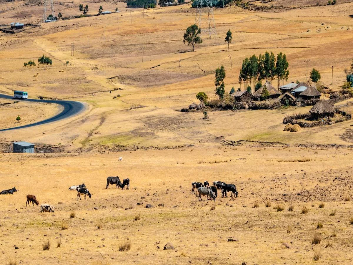 Śladami starożytnych tajemnic
