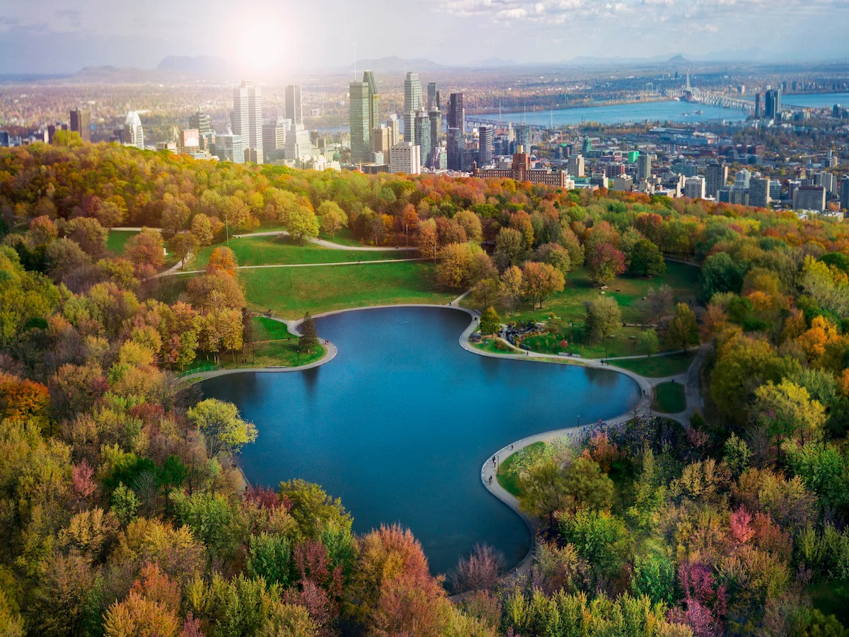 W krainie klonowego liścia