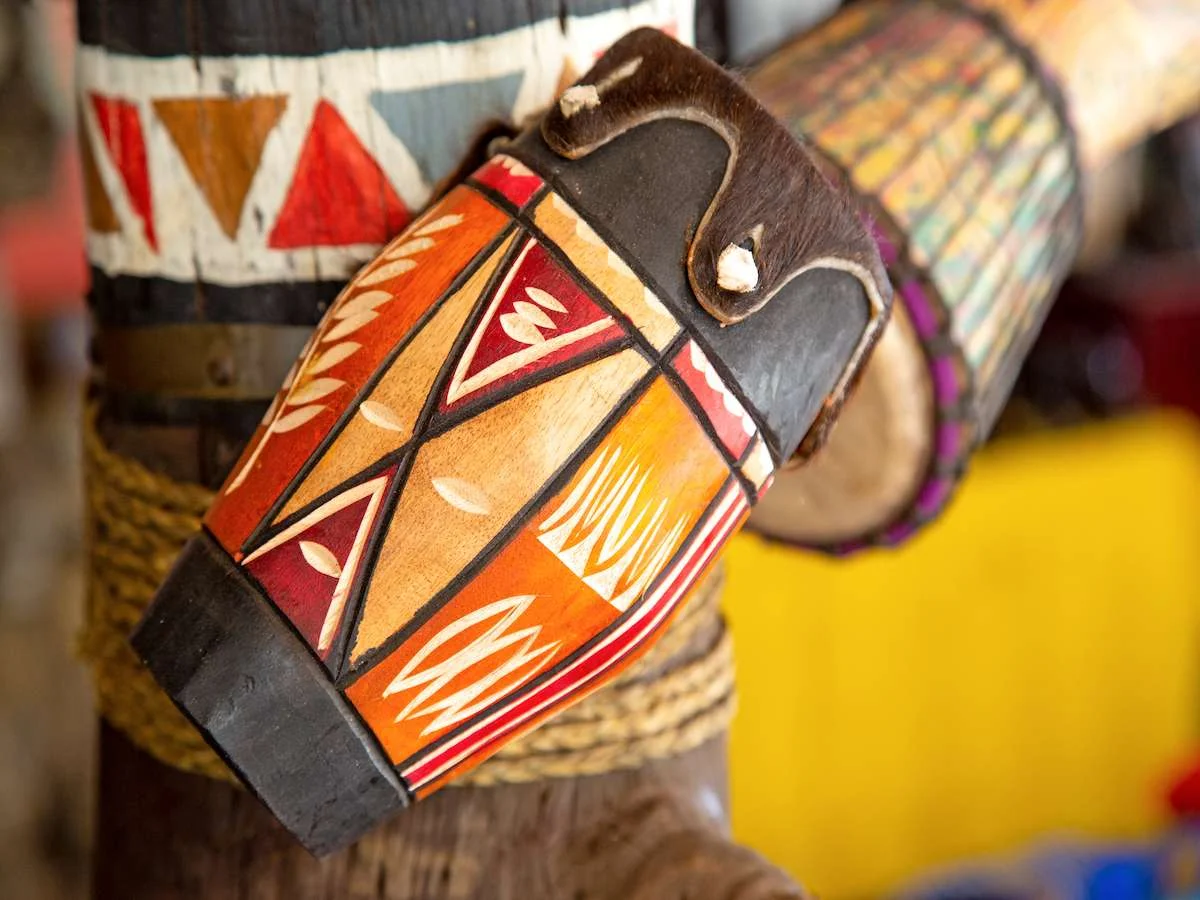 Południowoafrykańskie safari