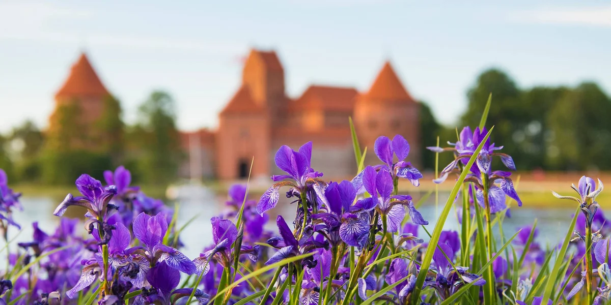 Szlakiem litewskich zamków