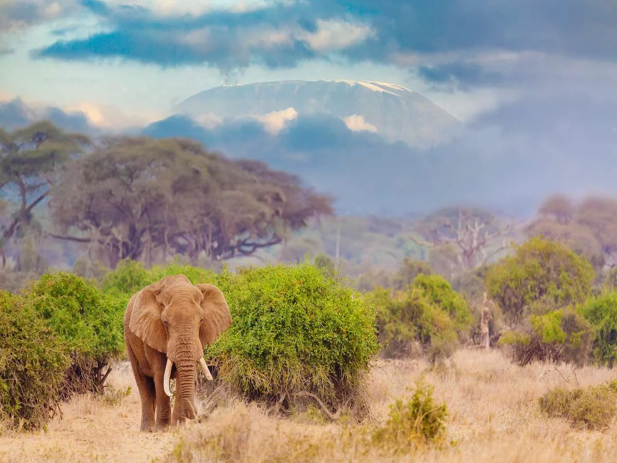 Z wizytą u Masajów