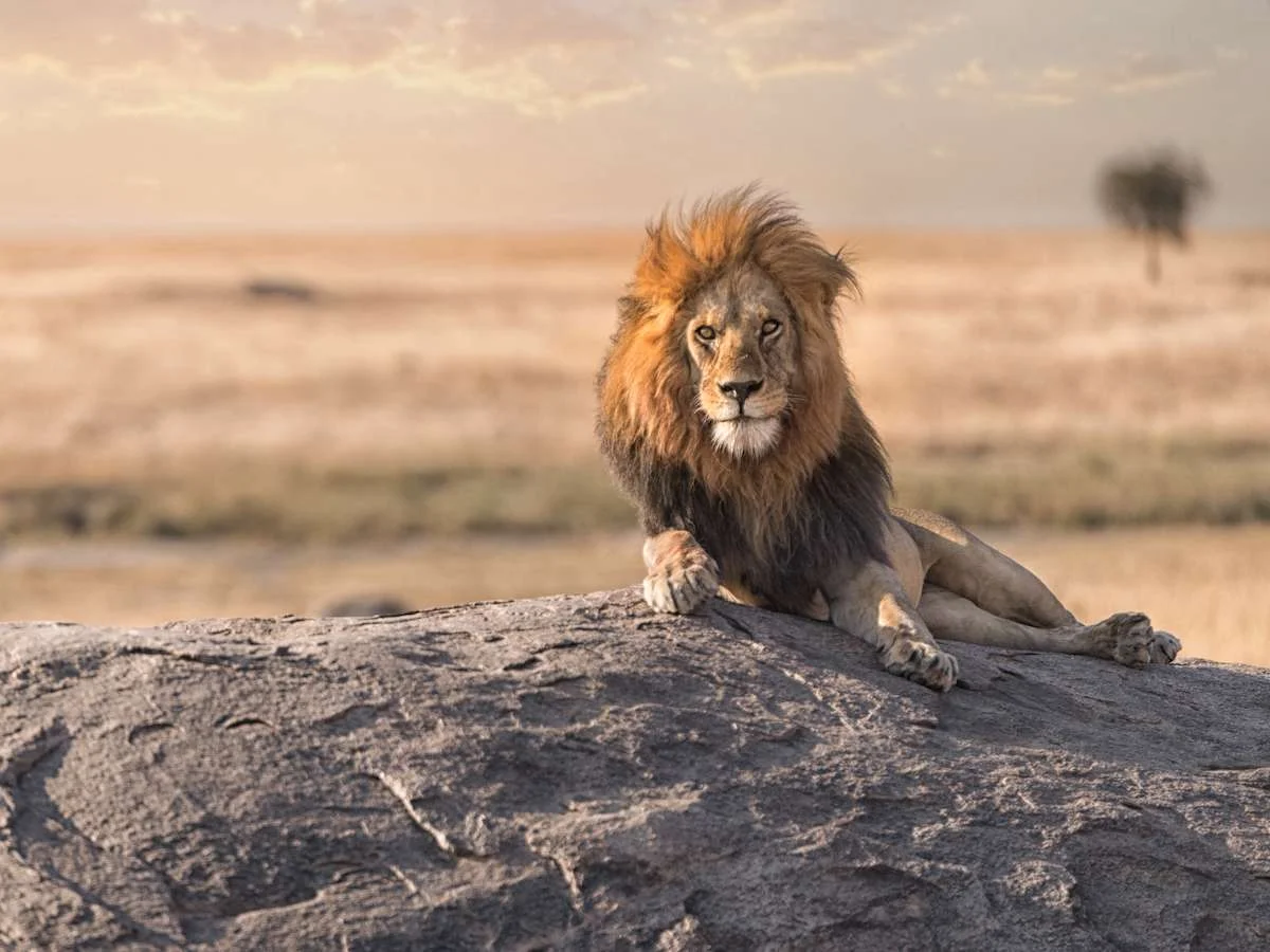 Z wizytą u Masajów