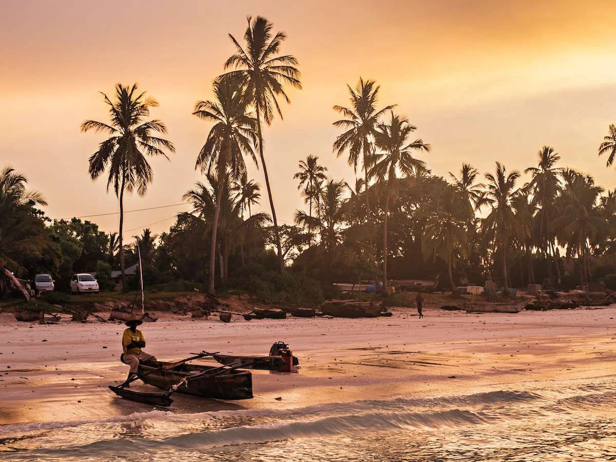 Przemierzając sawannę