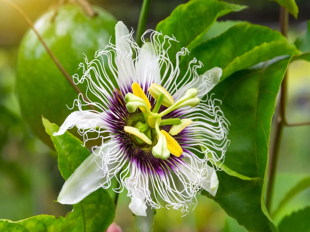 Z wizytą u Boba Marleya