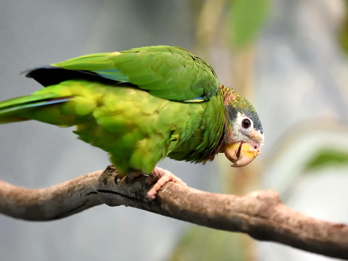 Z wizytą u Boba Marleya