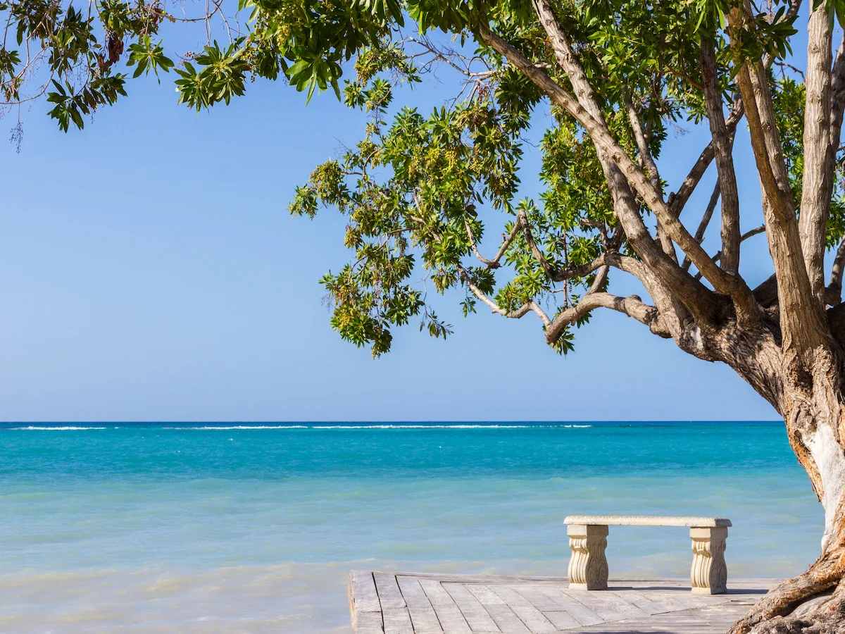 Z wizytą u Boba Marleya