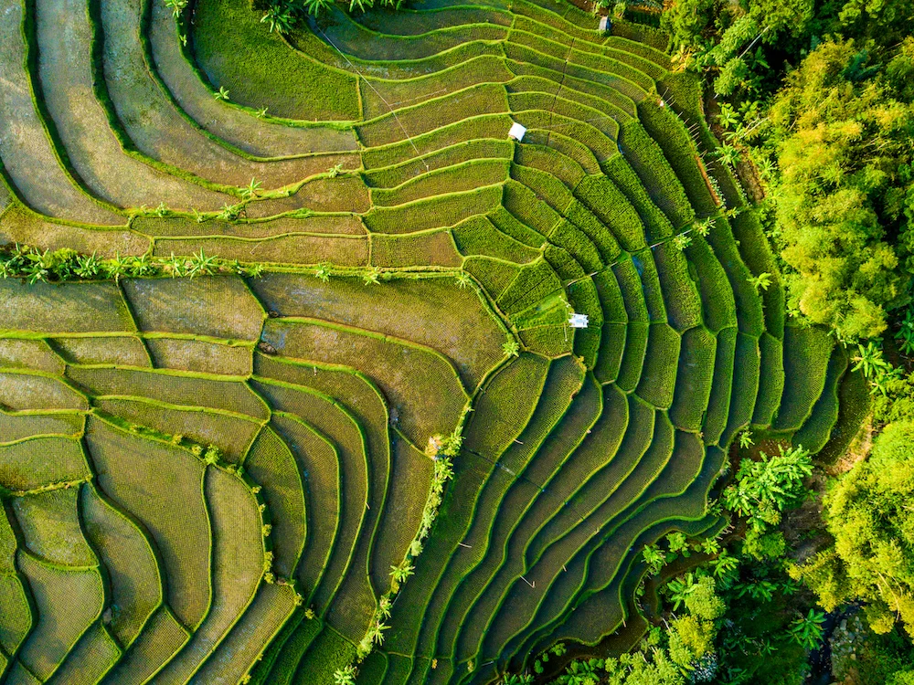 Wulkaniczny archipelag