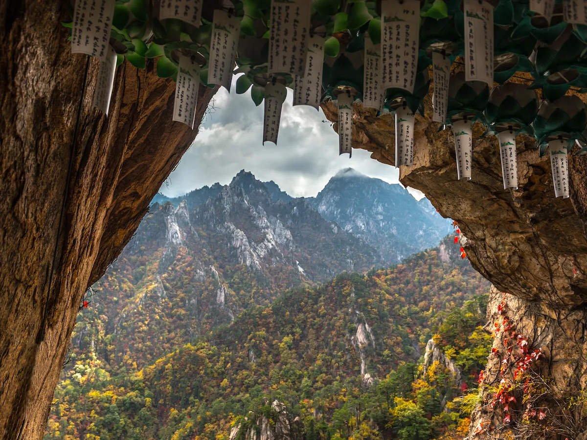 Tradycja i Nowoczesność