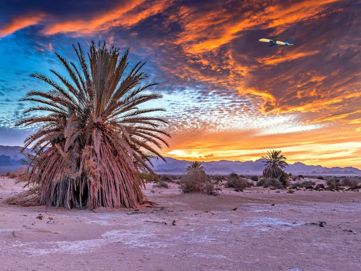 Pustynie i starożytne miasta