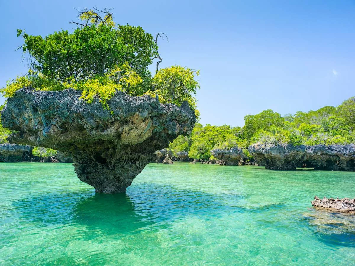 Wyspa przyprawami pachnąca