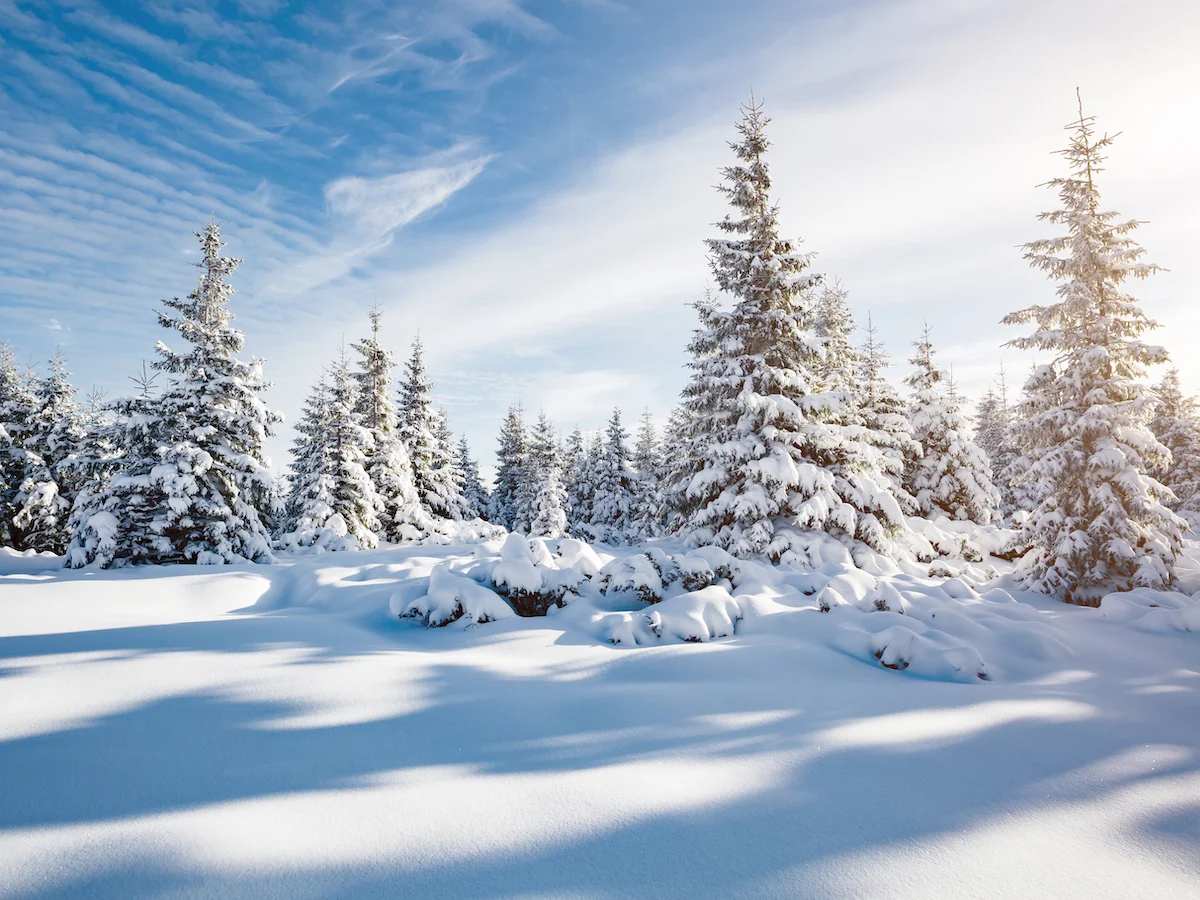 Laponia i Wioska św. Mikołaja