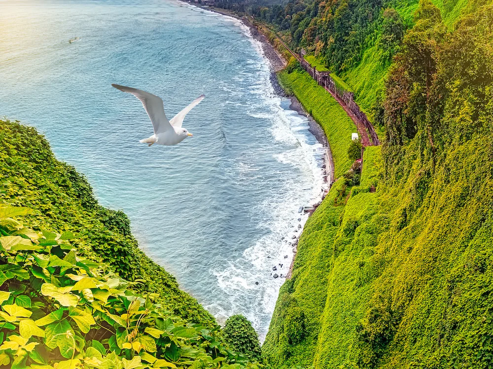 Kraj winem płynący