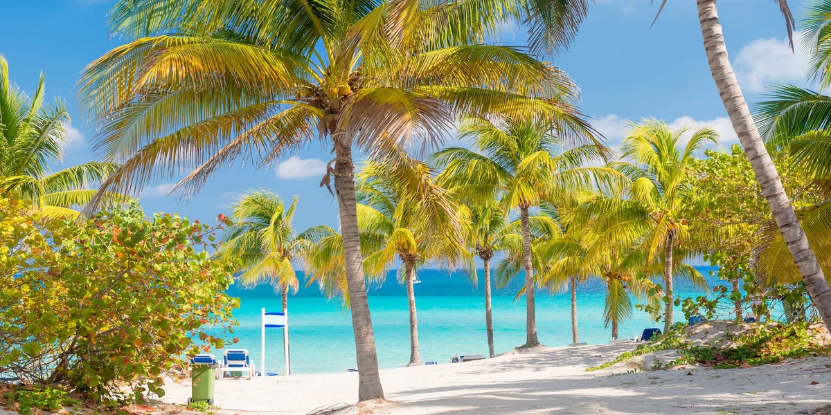 Gorąca wyspa Karaibów