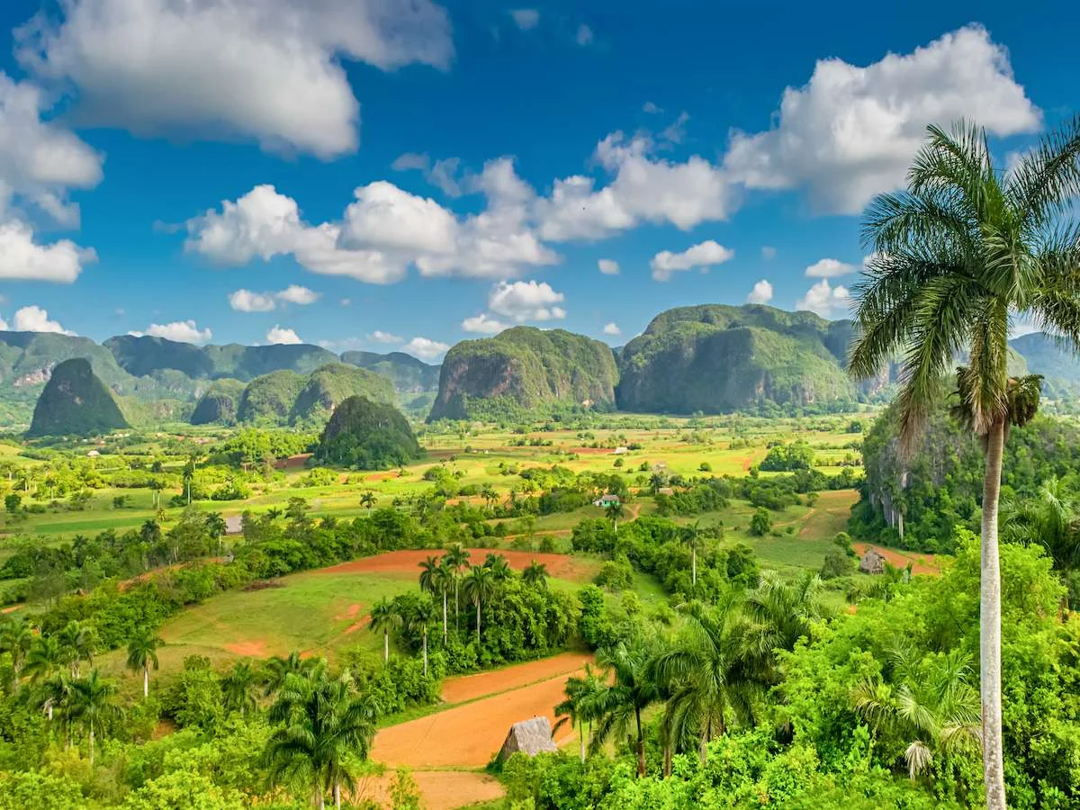 Gorąca wyspa Karaibów