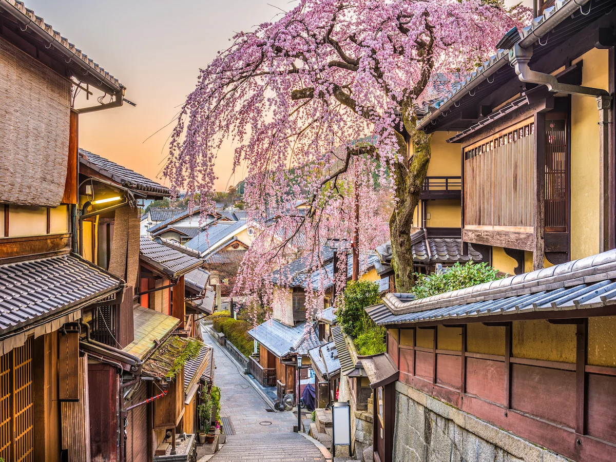 Przez Kraj Kwitnącej Wiśni