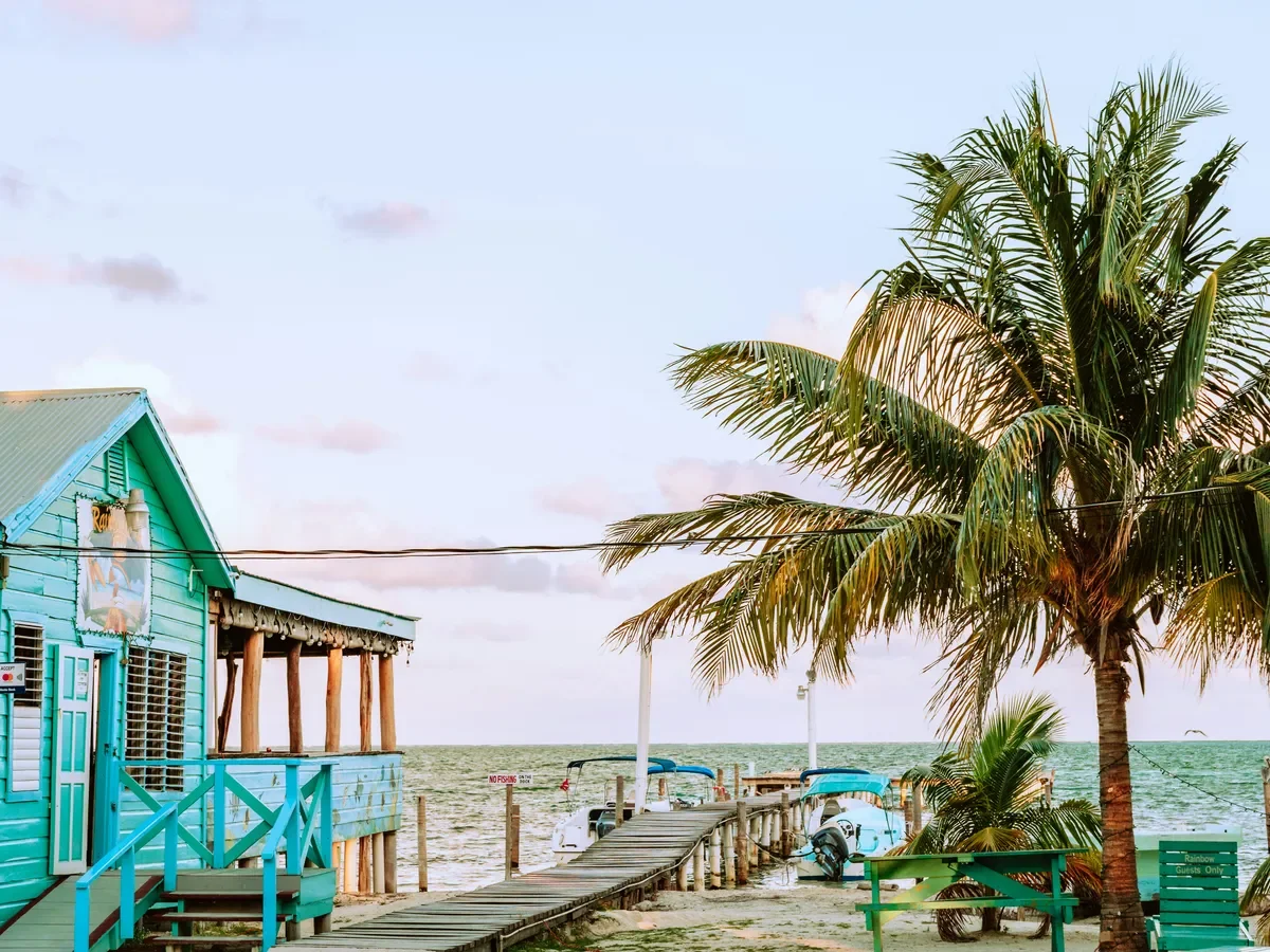 Tropikalna Ekspedycja