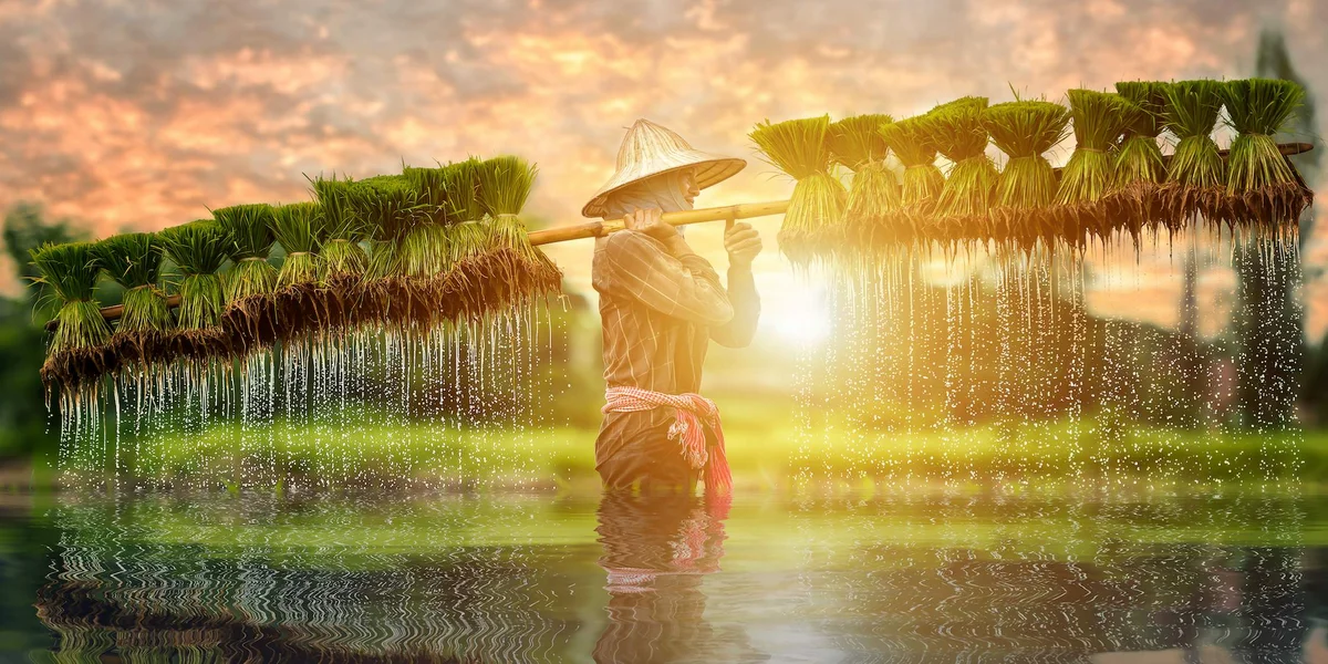 CAN THO - BEN TRE - HO CHI MINH (SAJGON)